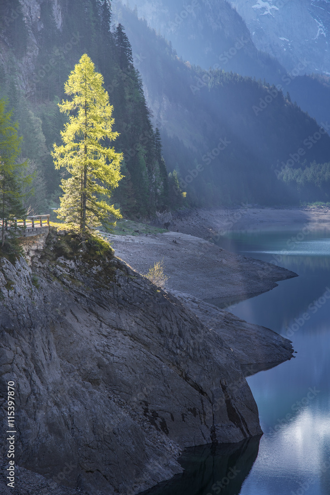 Gosausee，Salzkammergut，上奥地利州，奥地利