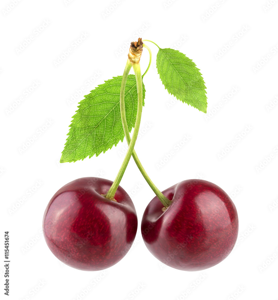 Sweet cherry isolated on white