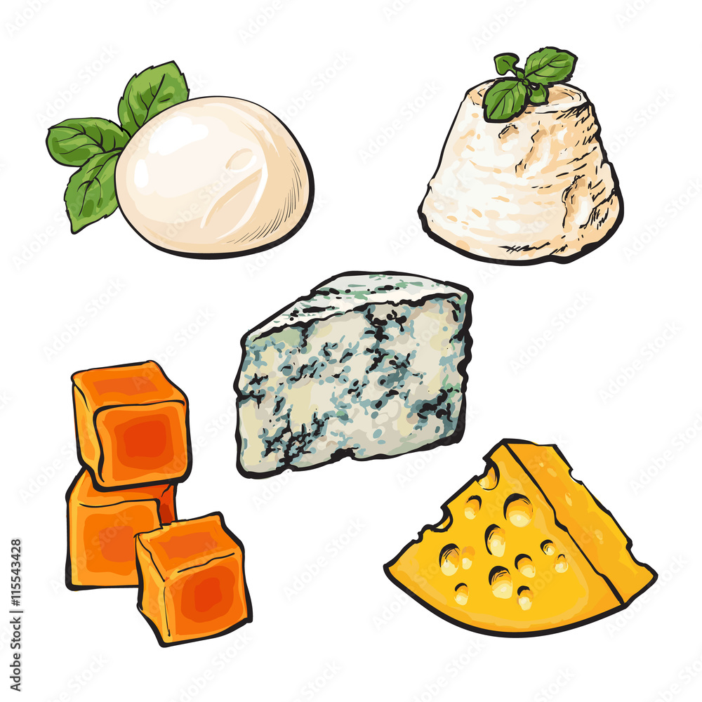 Set of different cheeses mozarella, cheddar, Roquefort, camembert and maasdam isolated sketch style 