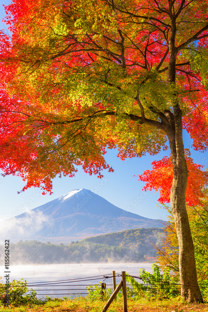 秋天的富士山