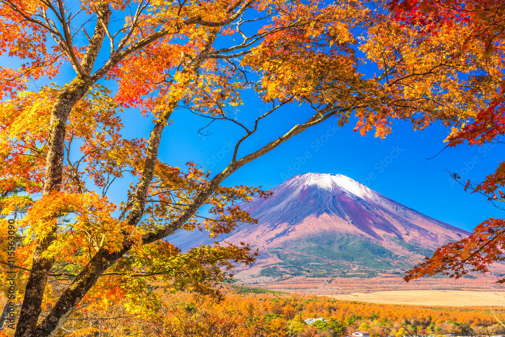 日本富士山