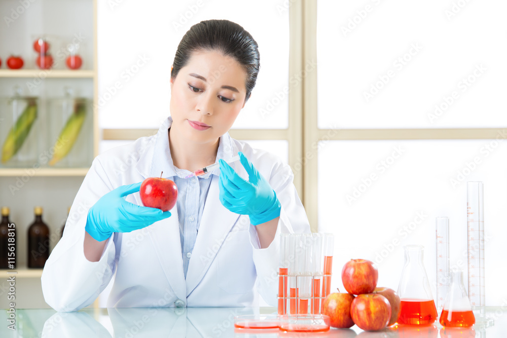 Researcher and microscope with a GMO apple