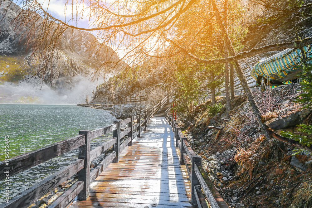 Wooden Pathway or Footpath near lake.