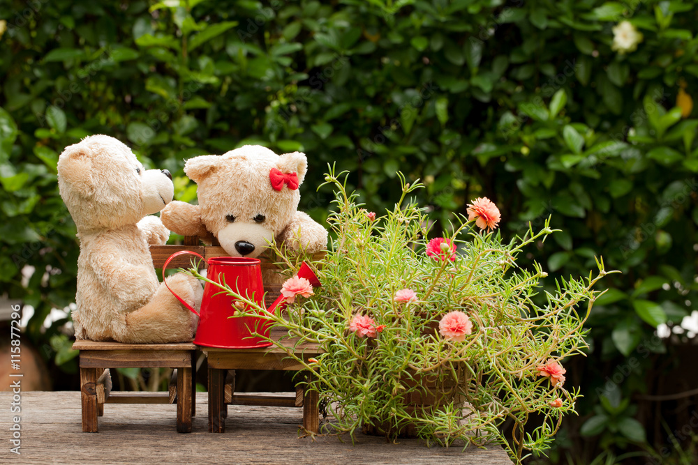 lovely teddy bear and  watering can in the garden of love, conce