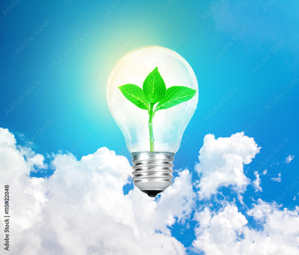 the Light bulb green tree inside on sky background ,eco concept