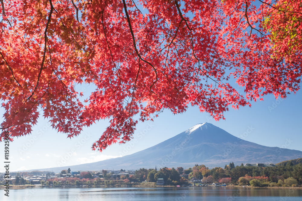 秋季河谷湖的红枫树和富士山