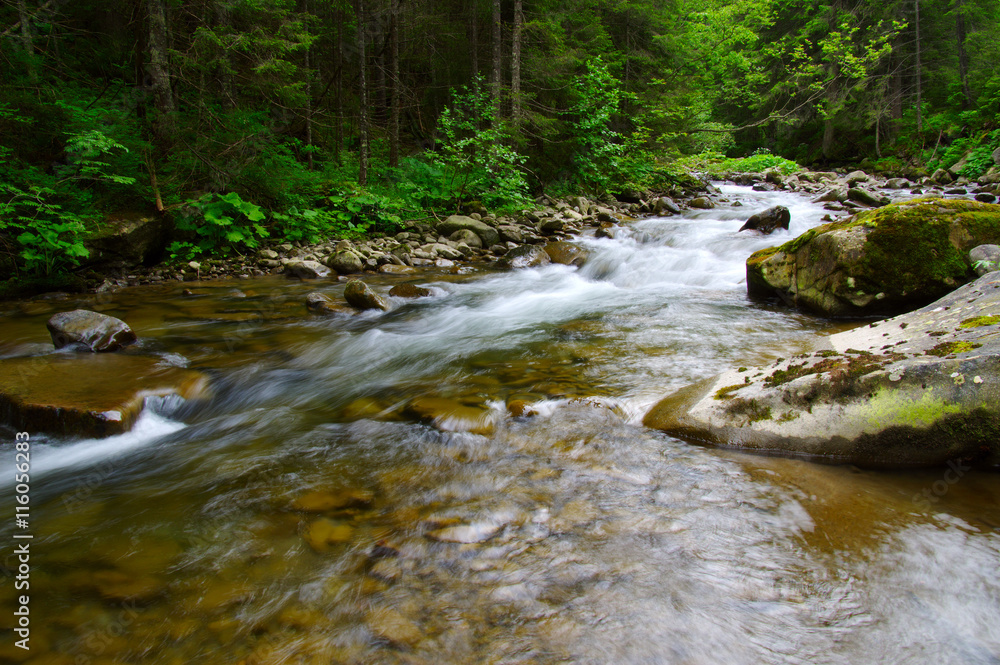 Mountain river in the green forest