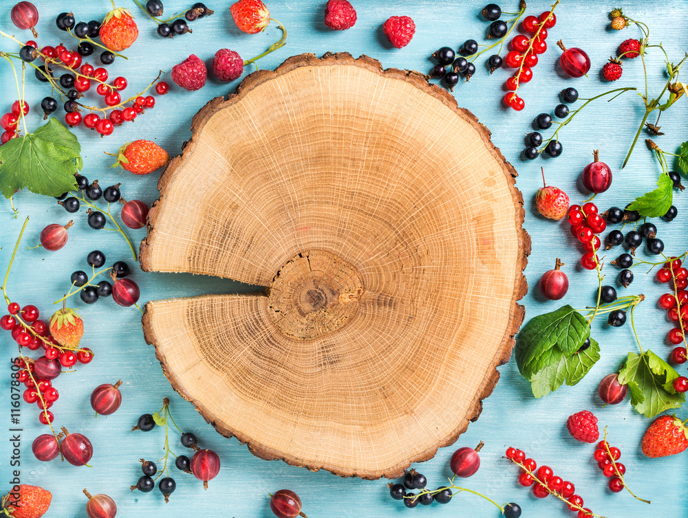 Healthy summer garden berry variety. Black and red currant, gooseberry, rasberry,  strawberry, mint 