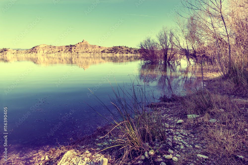 Paisaje de lago y puesta de sol en estilo vintage.Naturaleza y arboles en el pantano.Orilla y juncos