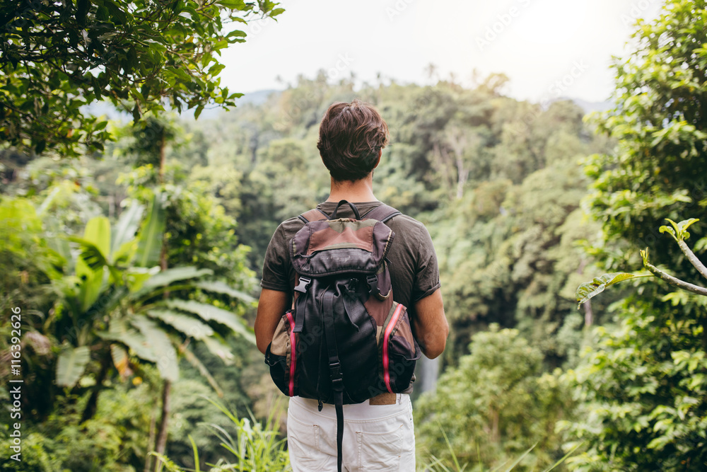 Male hiker looking at waterfall