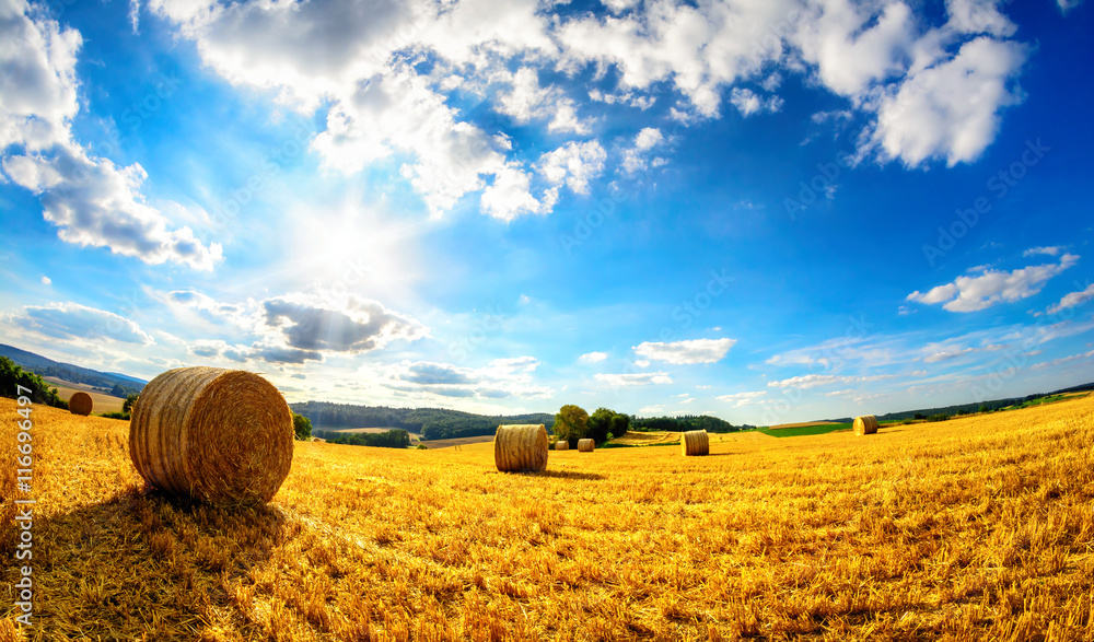 Sommer am Land; die Sonne leuchtet vom strahlend blauen Himmel aufs Feld