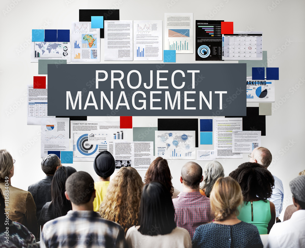 Project Management Methods Processes Concept