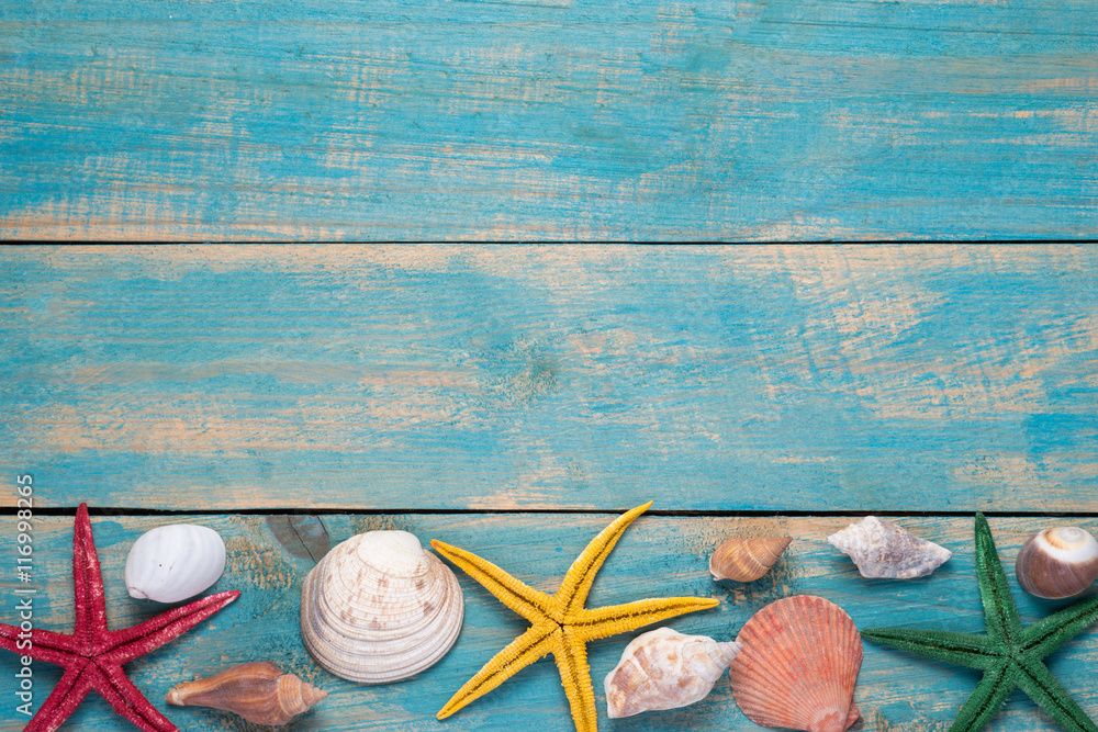 Shells and starfishes on blue wooden background. Copy space for