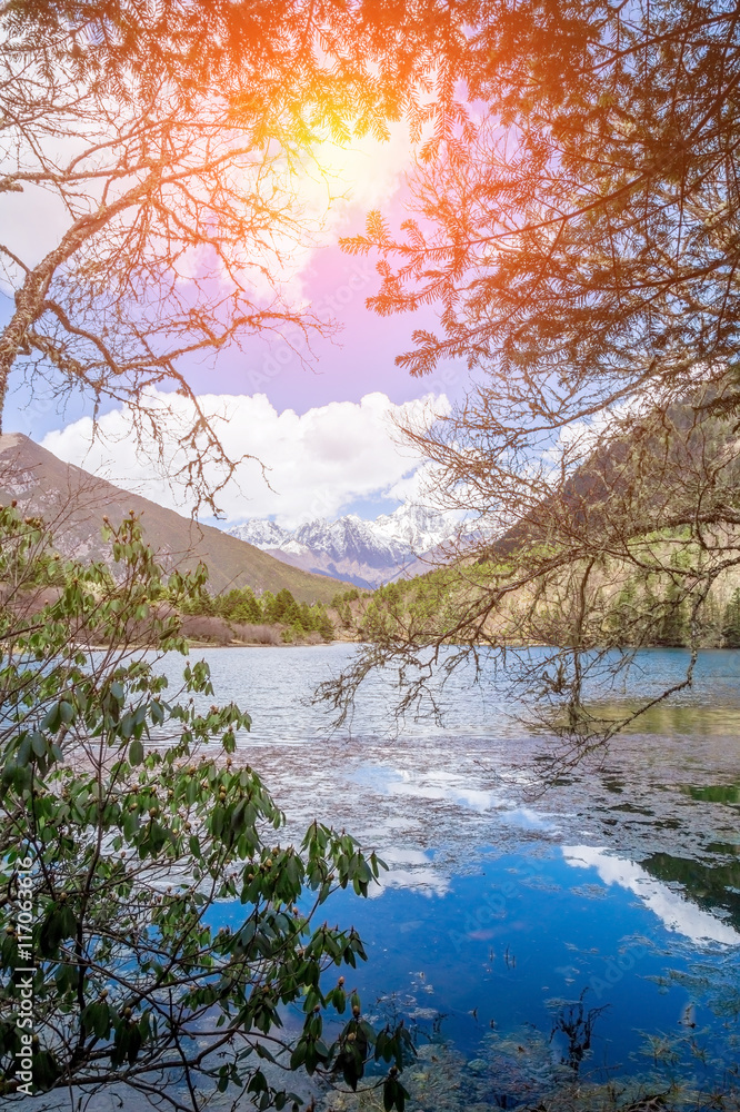 观赏美丽的秋梅森林和湖泊，带着山景