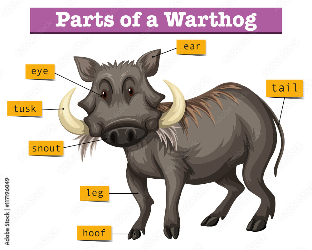 warthong零件示意图