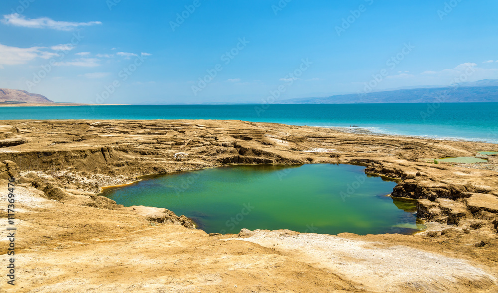 View of Dead Sea coastline