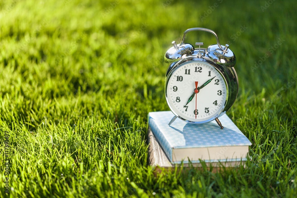 Clock and book on grass.