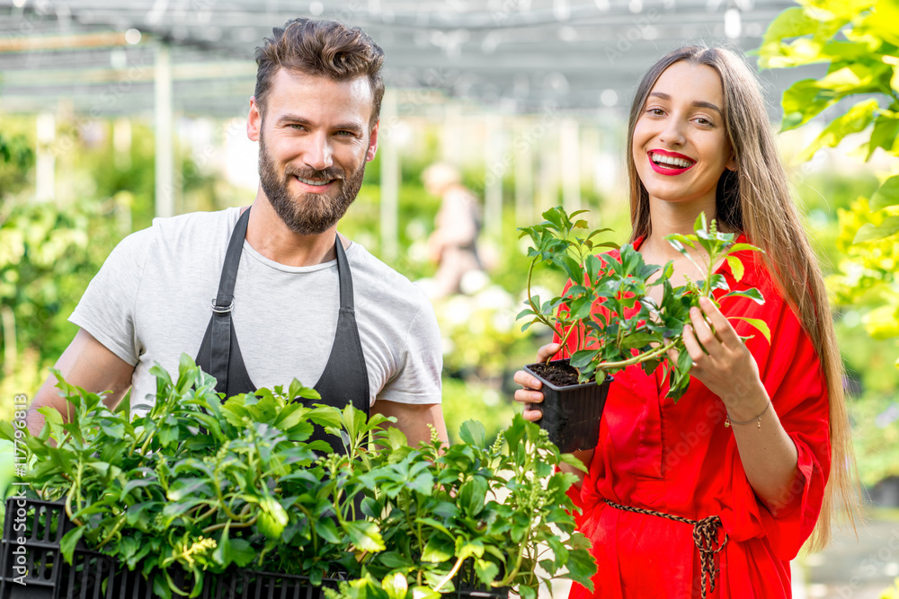 Handsome flower seller helping female buyer to choose a flower standing in the plant store. Customer