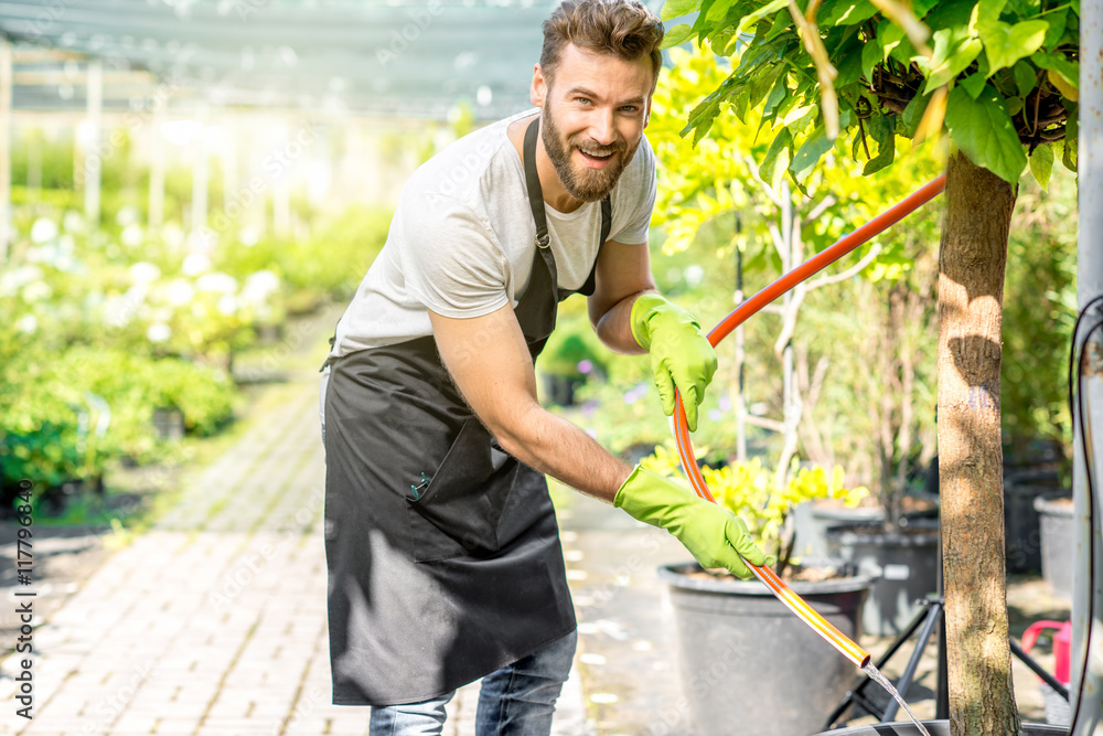 Handsome gardener in black apron watering tree in the greenhouse. Seller or worker taking care of th