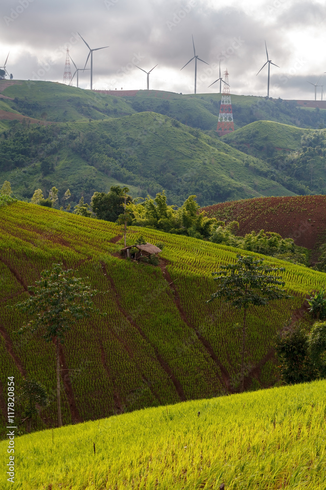 泰国Phetchabun Khao Kor的景观、风力涡轮机