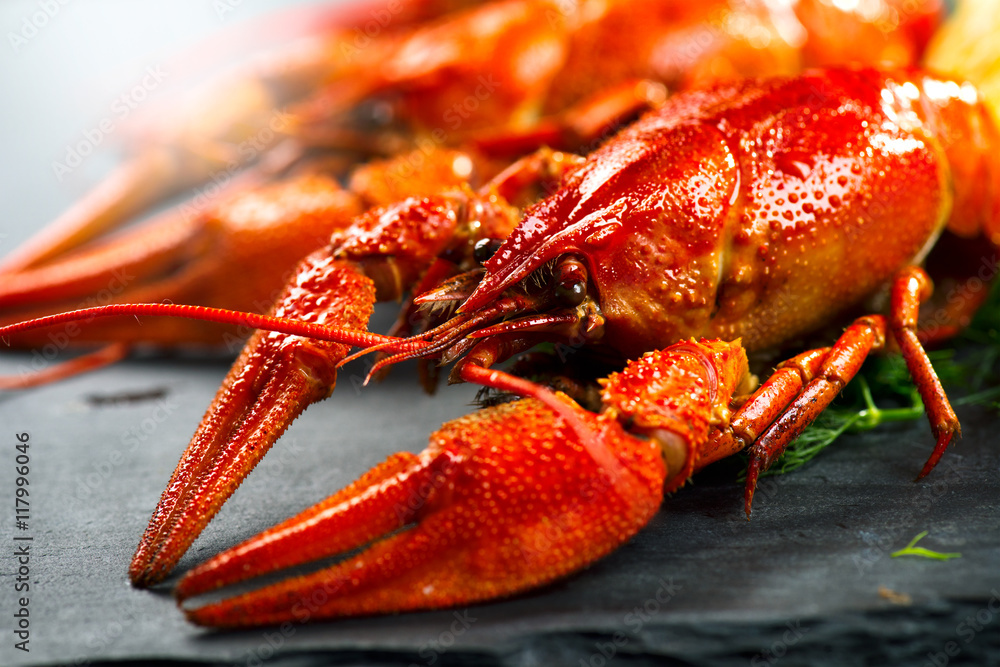 Red boiled crayfish with lemon and herbs on stone slate. Crawfish closeup