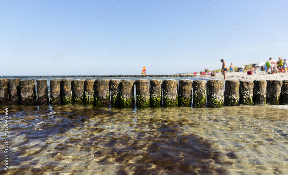 Buhnen am Ostseestrand