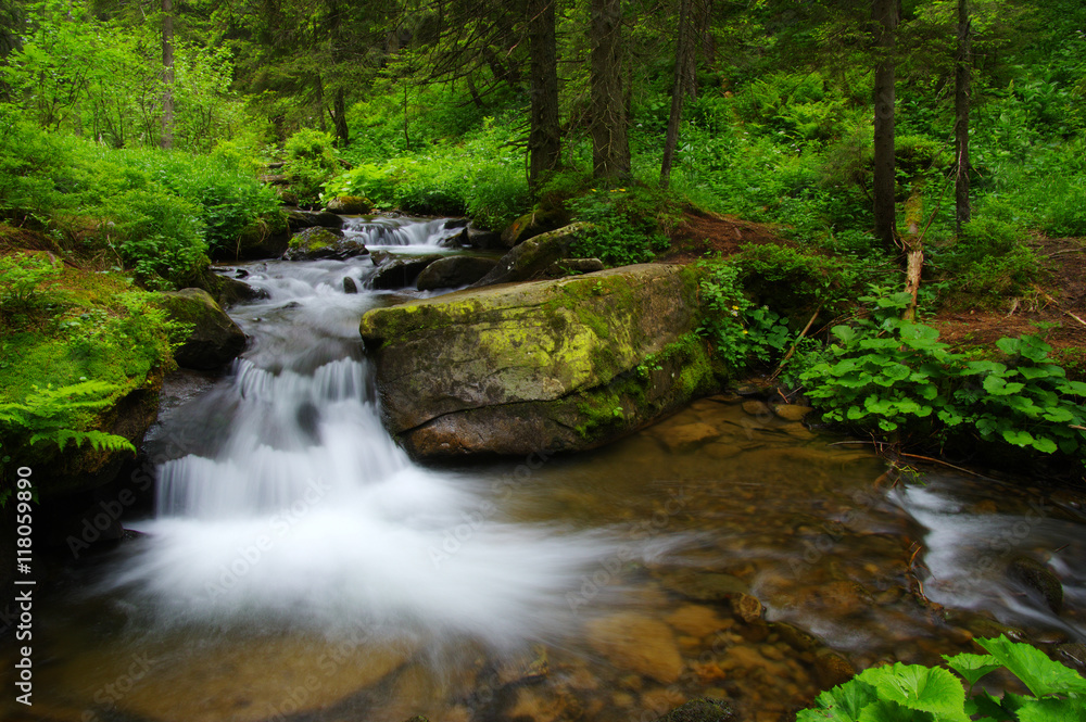  Stream in the wood