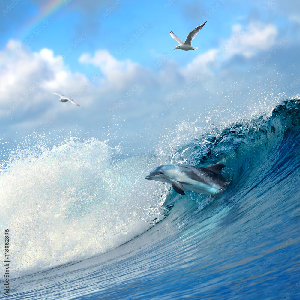 ocean-view playful dolphin leaping out from breaking ocean wave and seaguls flying on cloudy sky