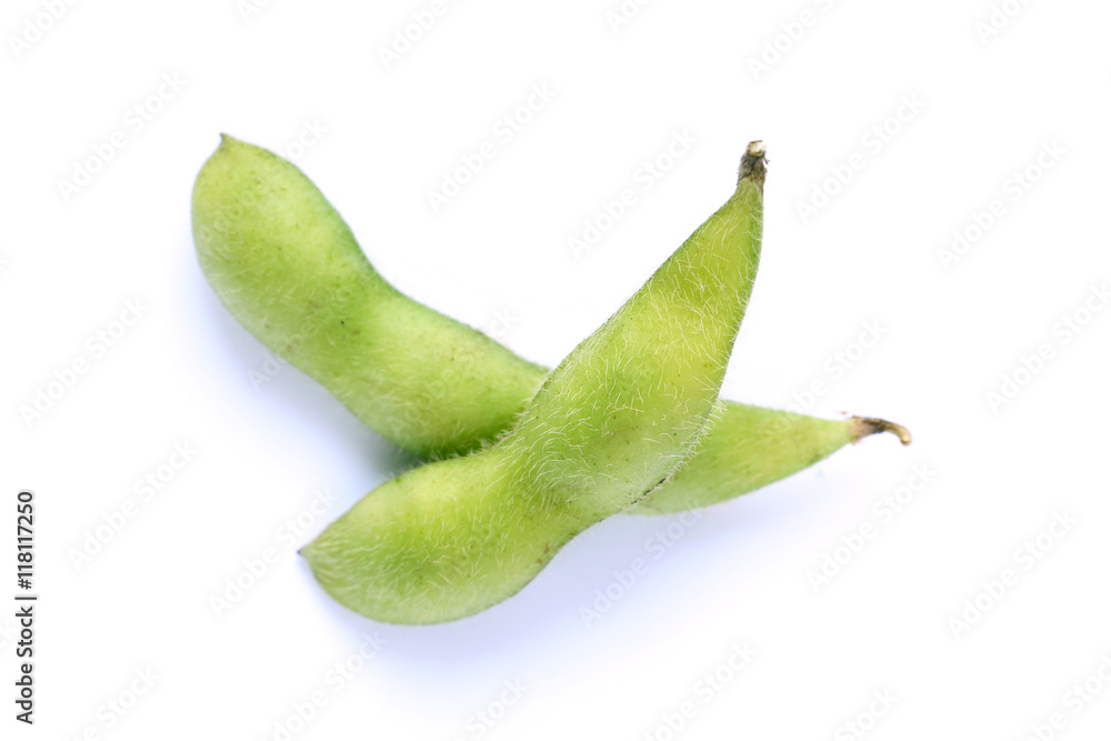 Japanese green soy bean isolated