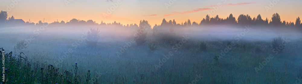 Panorama of a misty summer morning before sunrise.