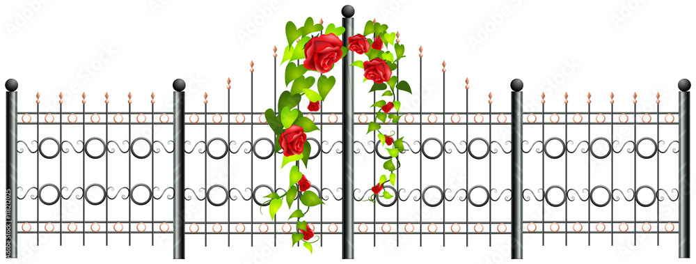 Metal fence and roses