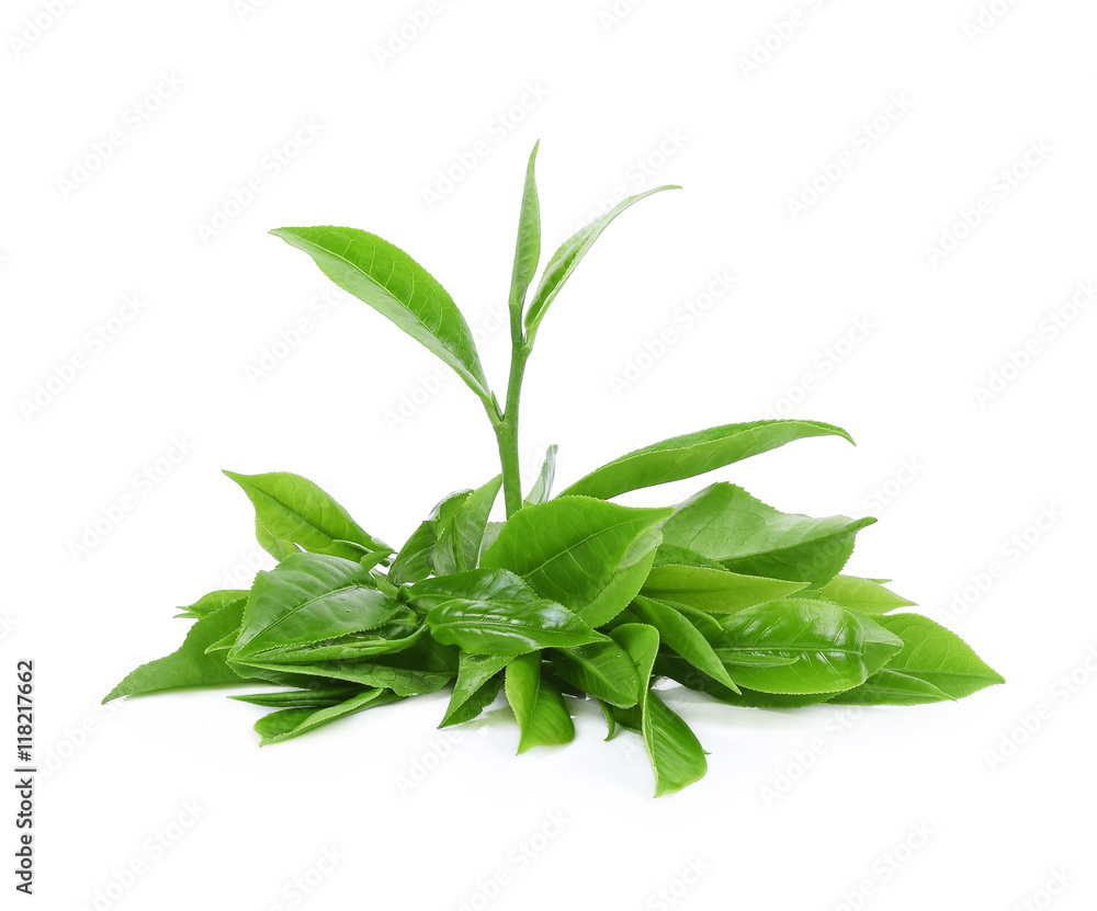 pile of green tea and water drop isolated on white background