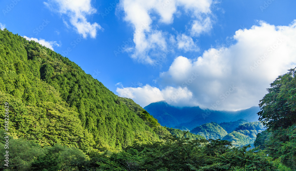 初夏の山