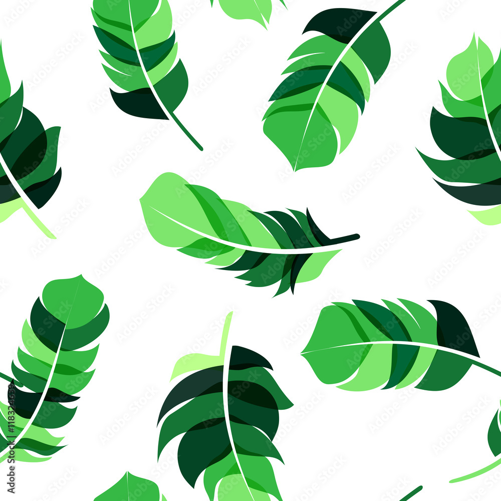 Bird Feather Hand Drawn Seamless Pattern Background Vector Illus