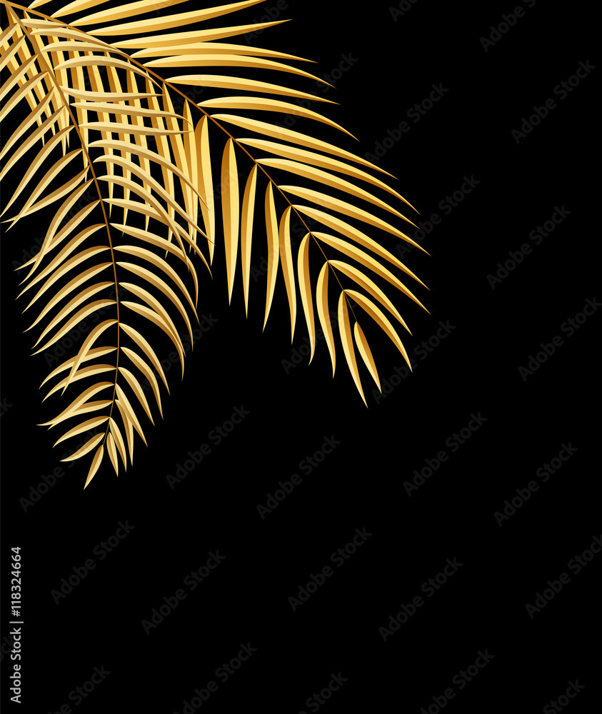 Beautifil Palm Tree Leaf  Silhouette Background Vector Illustrat