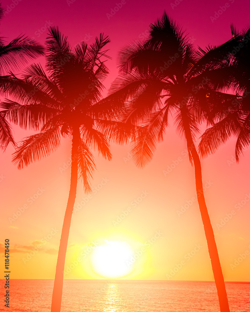 Tropical island sunset with silhouette of palm trees, hot summer day vacation background, golden sky