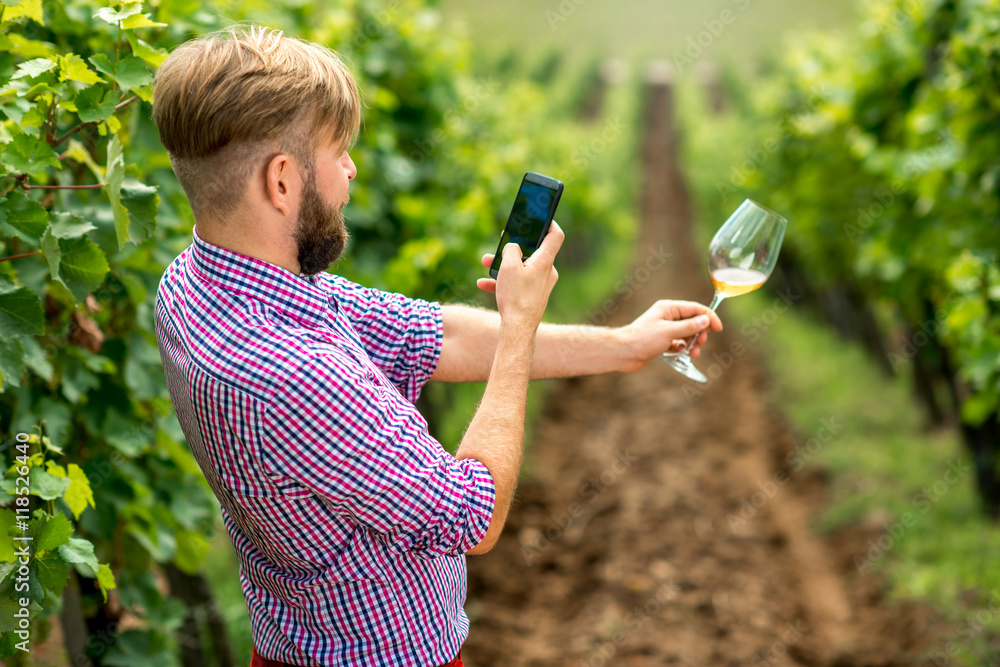 Wine maker or vinery owner photographing glass of wine on the vineyard. Promoting wine in social net