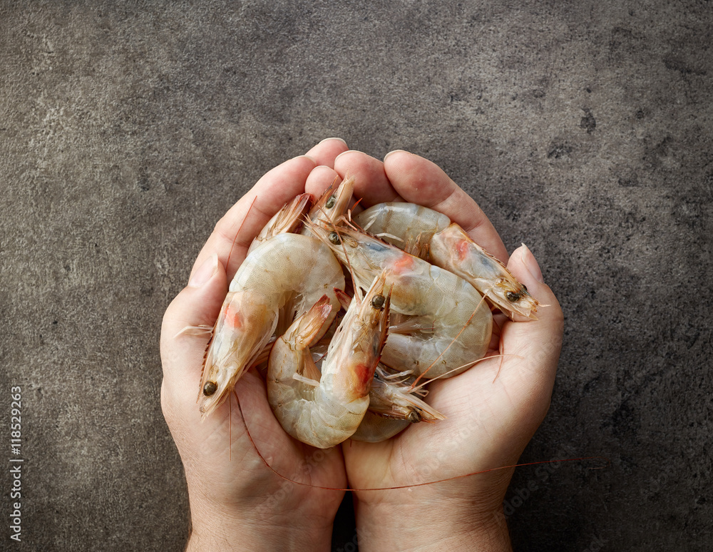 fresh raw prawns in human hands