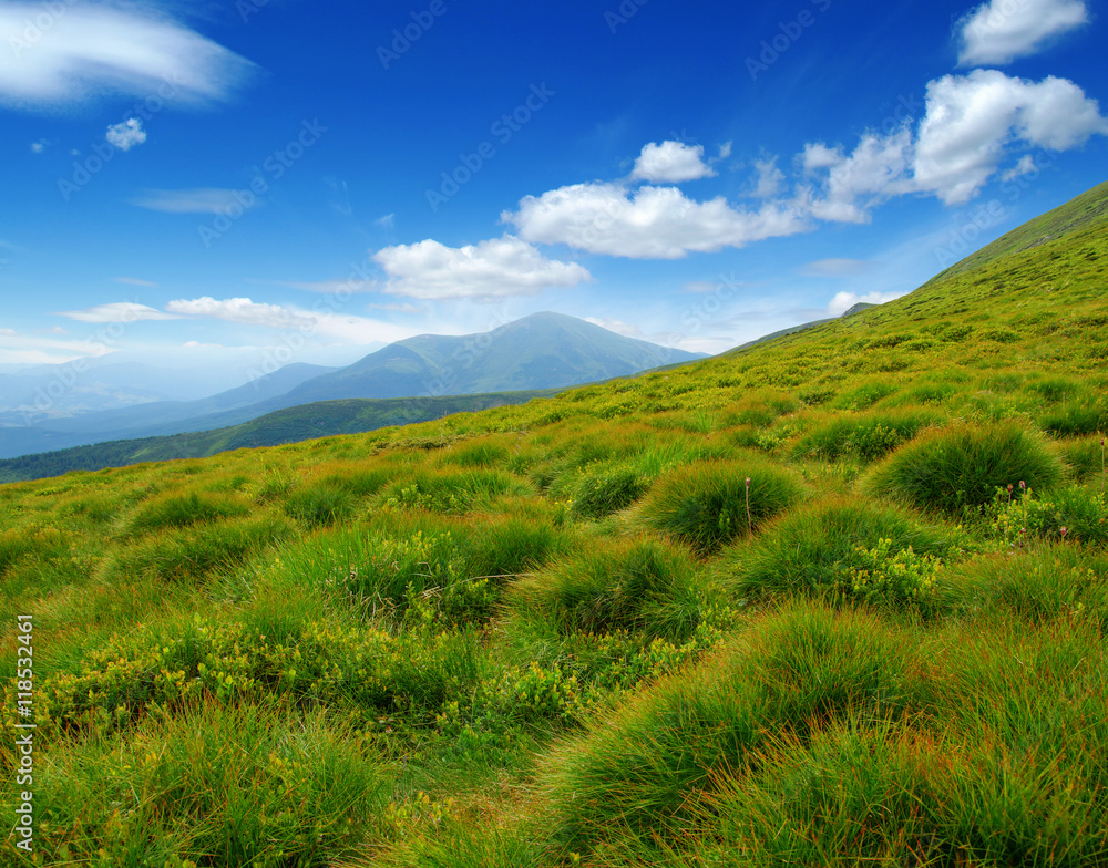 夏日山景