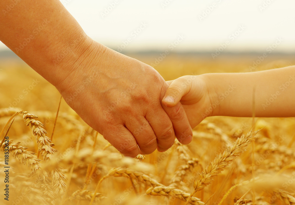 Hands of mother and daughter