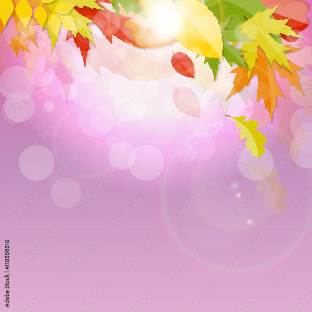 Shiny Autumn Natural Leaves Background. Vector Illustration