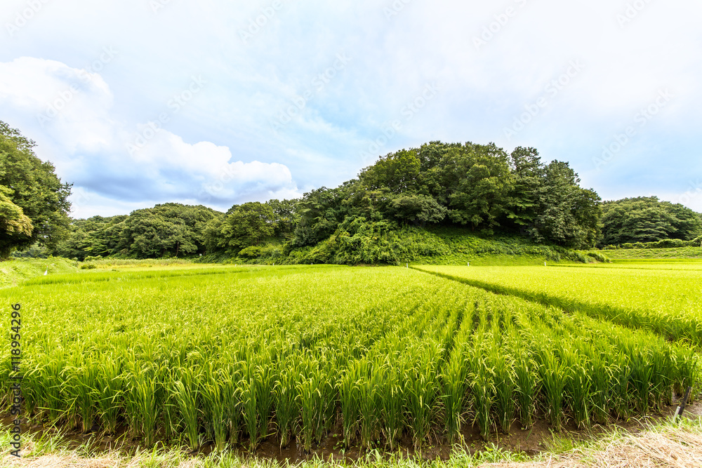 田園風景