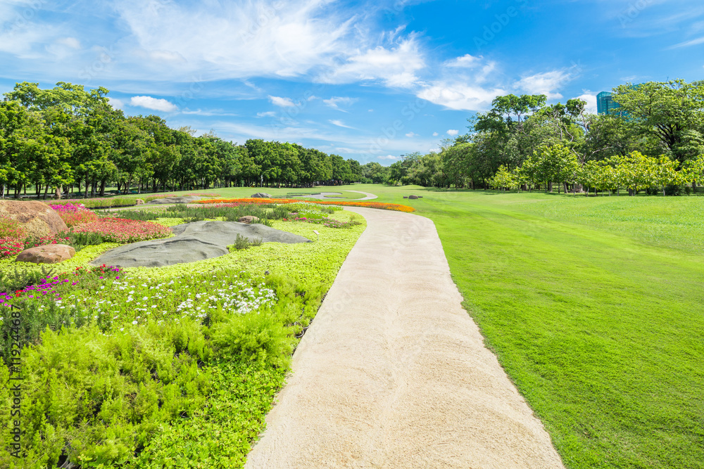 大城市公园绿草地里的小路