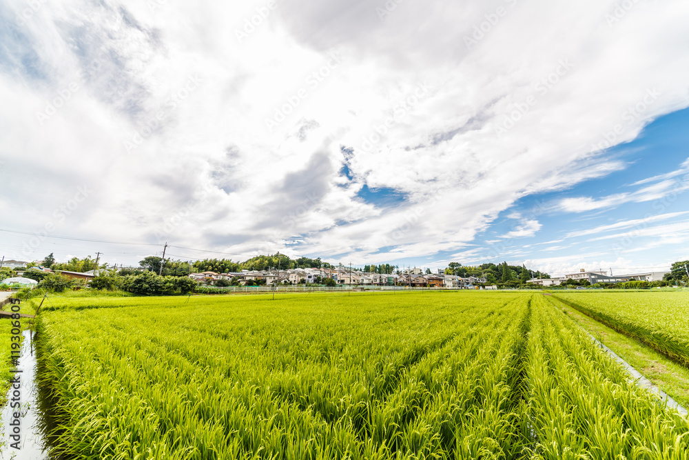 田園風景