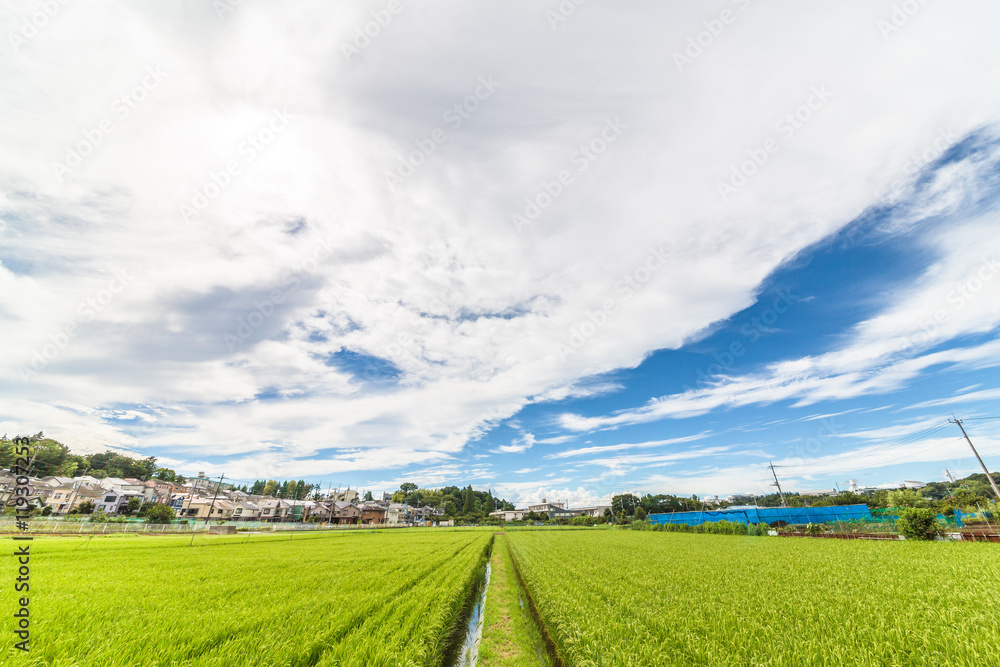 田園風景