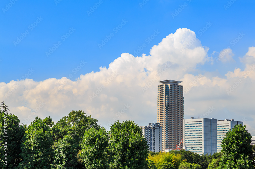 ビルと夏雲