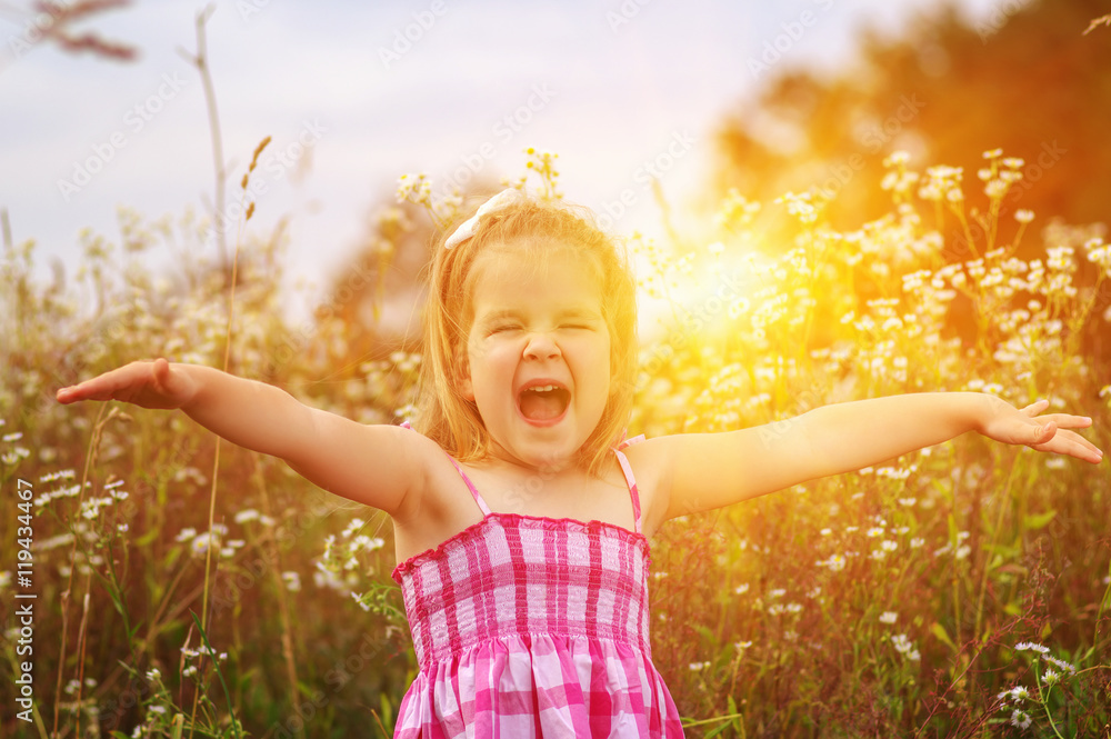  little girl on the meadow