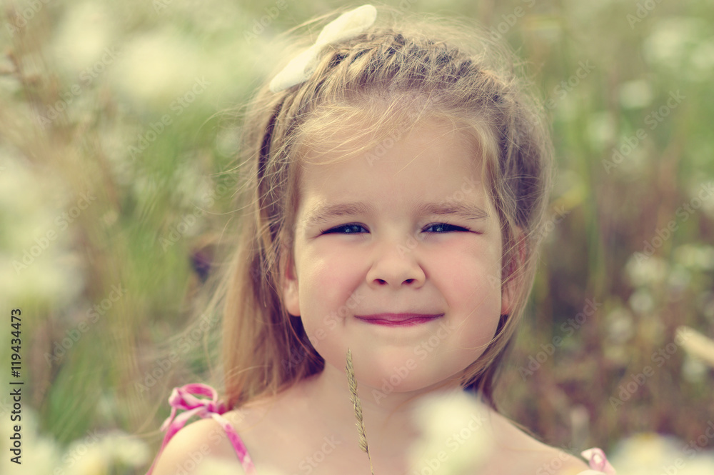  little girl on the meadow