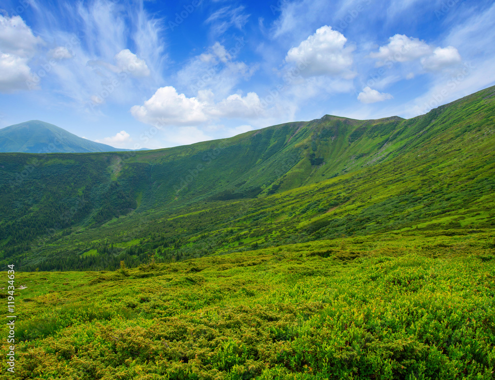 夏日山景