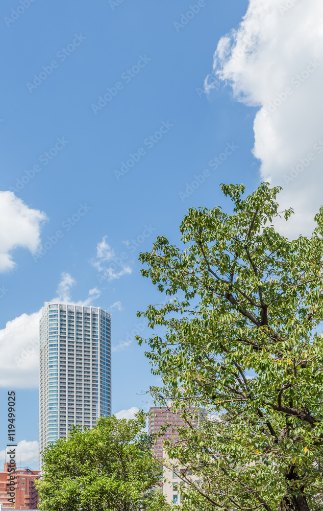 東京の空